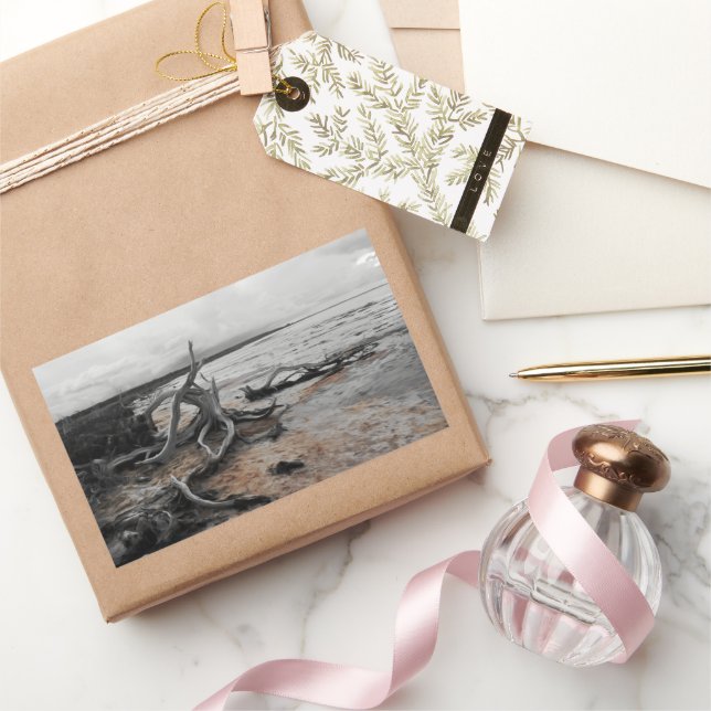 Pegatina Rectangular Fuerzas Naturales del Lago Tyrrell (Regalar)