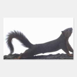 Pegatina Rectangular Funny Squirrel Pegatinas