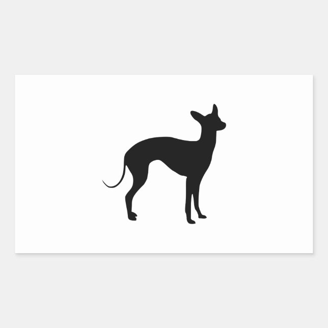 Pegatina Rectangular Galgo Italiano (Anverso)