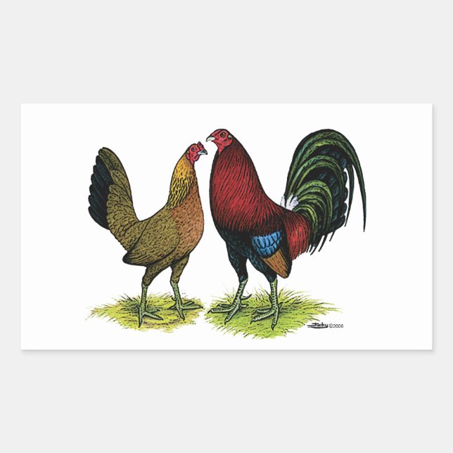 Pegatina Rectangular Gamefowl Pair (Anverso)