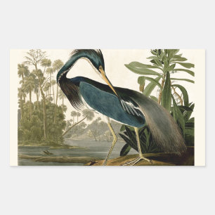 Pegatina Rectangular Garzas de Louisiana de Audubon Pájaros América Art