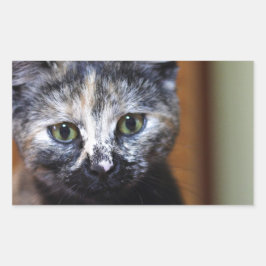 Pegatina Rectangular Gatito blanco y negro