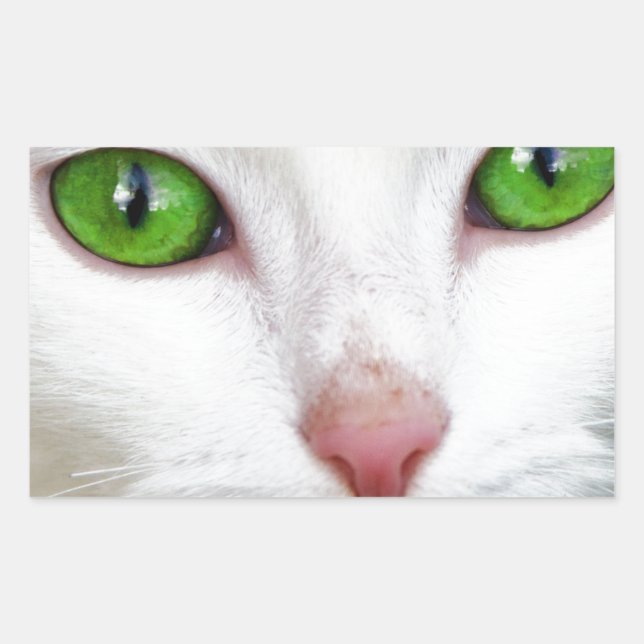 Pegatina Rectangular Gato blanco con ojos verde esmeralda (Anverso)