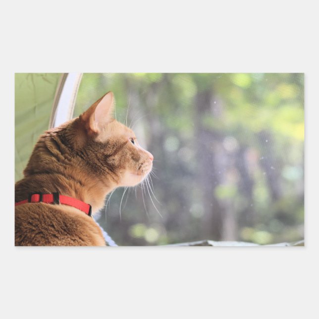 Pegatina Rectangular Gato de camping (Anverso)