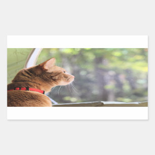 Pegatina Rectangular Gato de camping