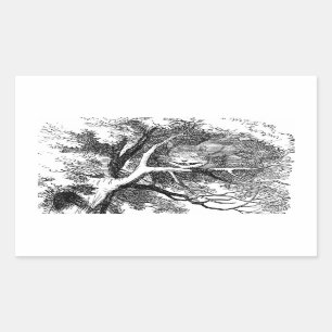 Pegatina Rectangular Gato de Cheshire ocultado en un árbol