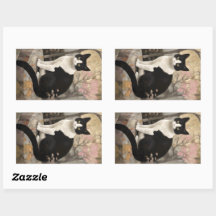 Gato de Tuxedo sentado en un jardín