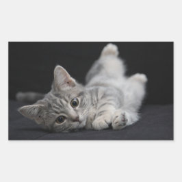 Pegatina Rectangular Gato gris suave