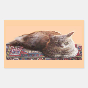 PEGATINA RECTANGULAR GATO TURCO EN LA VIEJA CARPETA