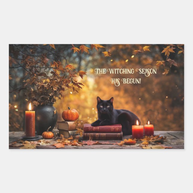 Pegatina Rectangular Gatos Negros de Halloween Libros de Hechizos Místi (Anverso)