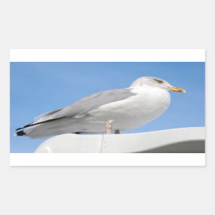 Pegatina Rectangular Gaviota de arenque enclavada en la cabaña de barco