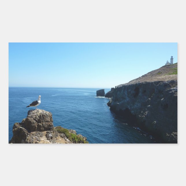 Pegatina Rectangular Gaviota en la isla Anacapa en Channel Islands (Anverso)