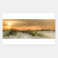 Gaviotas al amanecer