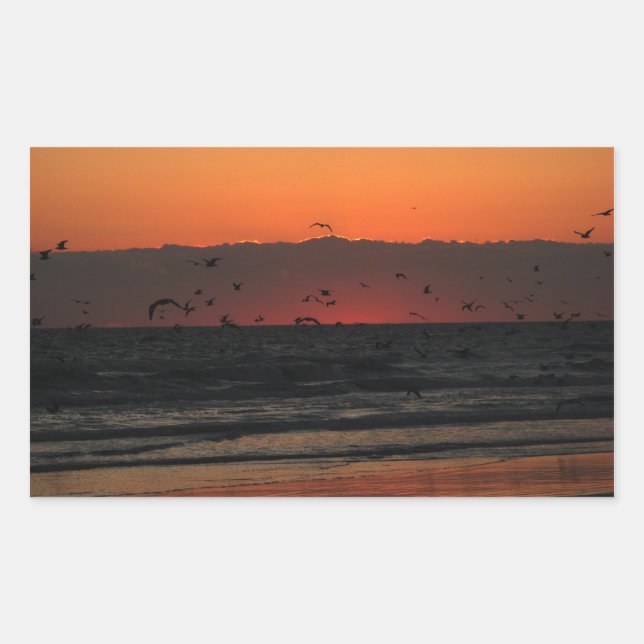 Pegatina Rectangular Gaviotas volando sobre la foto del amanecer del oc (Anverso)