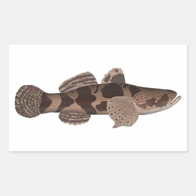 Pegatina Rectangular Giant Gudgeon (Anverso)