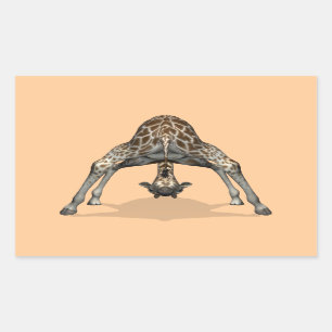 Pegatina Rectangular Girafa flexible