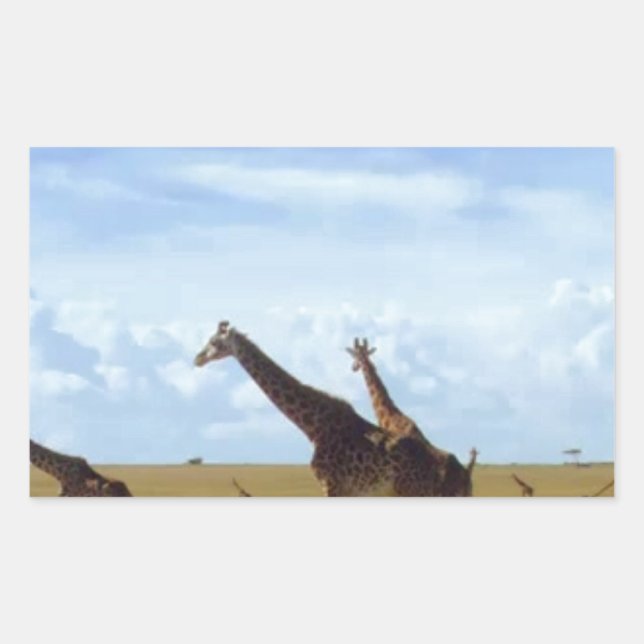 Pegatina Rectangular Girafas del Parque Nacional de Nairobi (Anverso)