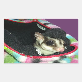 Pegatina Rectangular Glider azucarero usando un Gorra