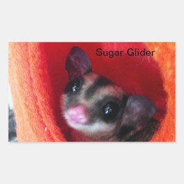 Pegatina Rectangular Glider de azúcar en la cama colgada del Naranja