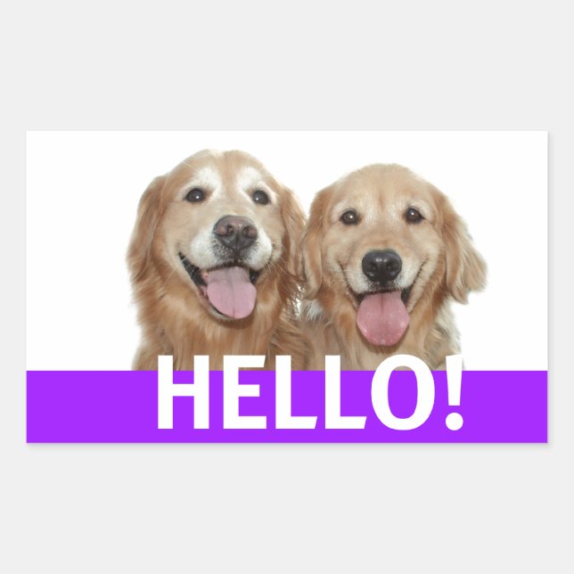 Pegatina Rectangular Golden Retriever Hello (Anverso)