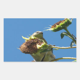Pegatina Rectangular Goldfinch