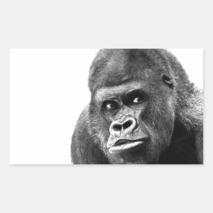 Pegatina Rectangular Gorilla blanca negra