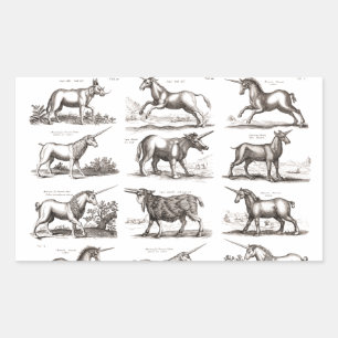 Pegatina Rectangular Grabado Antiguo de Unicornio Especimen de Zoología