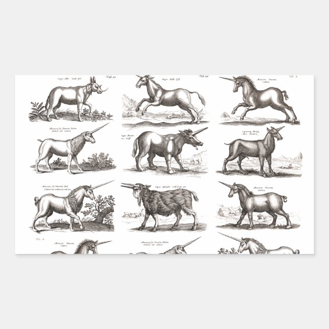 Pegatina Rectangular Grabado Antiguo de Unicornio Especimen de Zoología (Anverso)