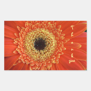 Pegatina Rectangular gracias