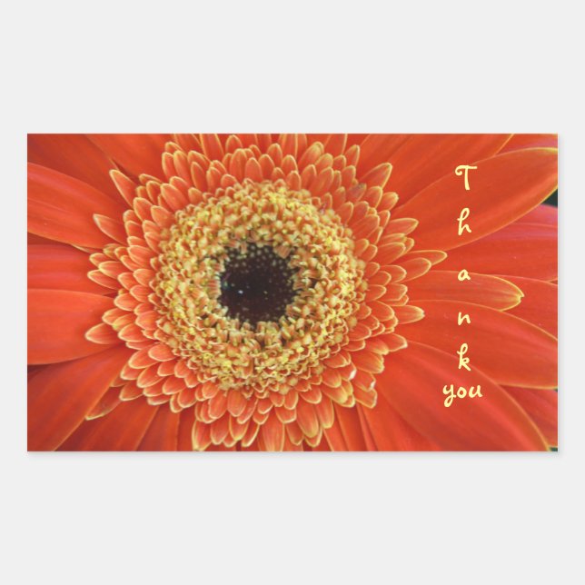 Pegatina Rectangular gracias (Anverso)