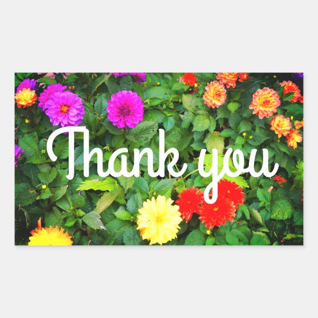 Pegatina Rectangular Gracias A Varios Dahlias #1-2 Pegatinas (Anverso)