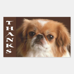 Pegatina Rectangular Gracias Stickers de saludo de cachorro de Pekín