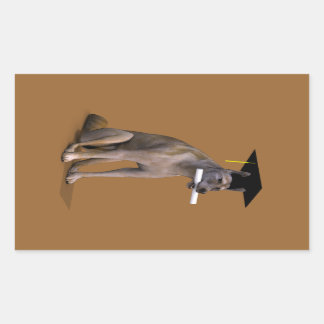 Pegatina Rectangular Graduate Coyote