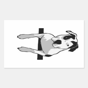 Pegatina Rectangular Gráfica T-Bone de Pit Bull