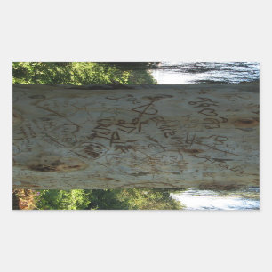 Pegatina Rectangular Grafiti de árbol tailandés