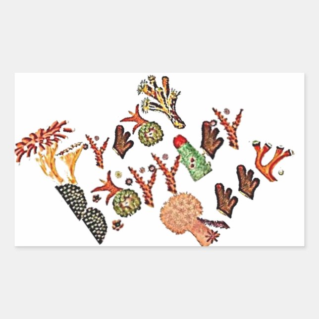 Pegatina Rectangular Gran Barrera de Coral, (Anverso)