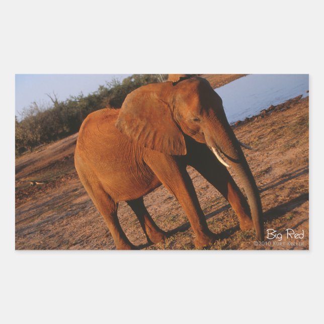 Pegatina Rectangular Grandes Pegatinas de Elefantes Rojos (Anverso)