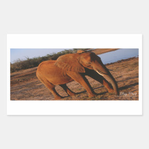 Pegatina Rectangular Grandes Pegatinas de Elefantes Rojos