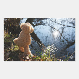 Pegatina Rectangular Grappige beer die ondeugend plast.