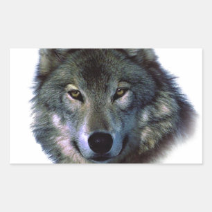 Pegatina Rectangular Gray Wolf Eyes