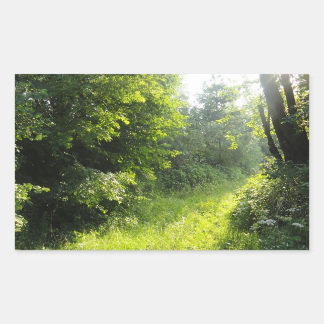 Pegatina Rectangular Green Forest Meadow (Anverso)