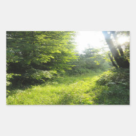 Pegatina Rectangular Green Forest Meadow