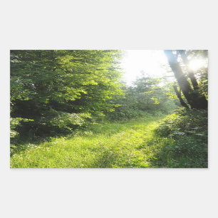 Pegatina Rectangular Green Forest Meadow