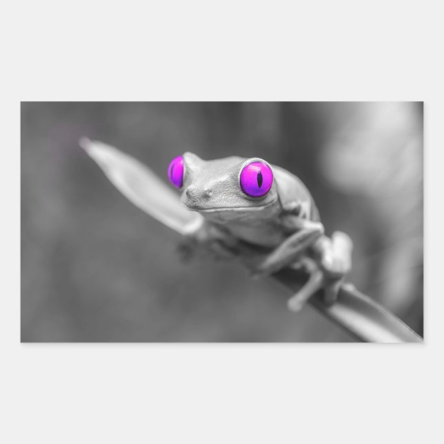 Pegatina Rectangular Grenouille aux yeux violets (Anverso)