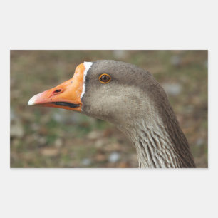 Pegatina Rectangular Greylag Swan Goose Cross