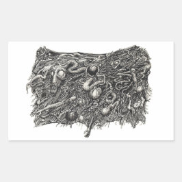 Pegatina Rectangular Grotesco número 1, plano