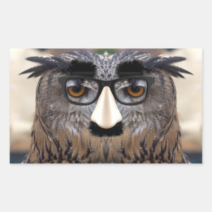 Pegatina Rectangular Groucho Marx Eagle Owl