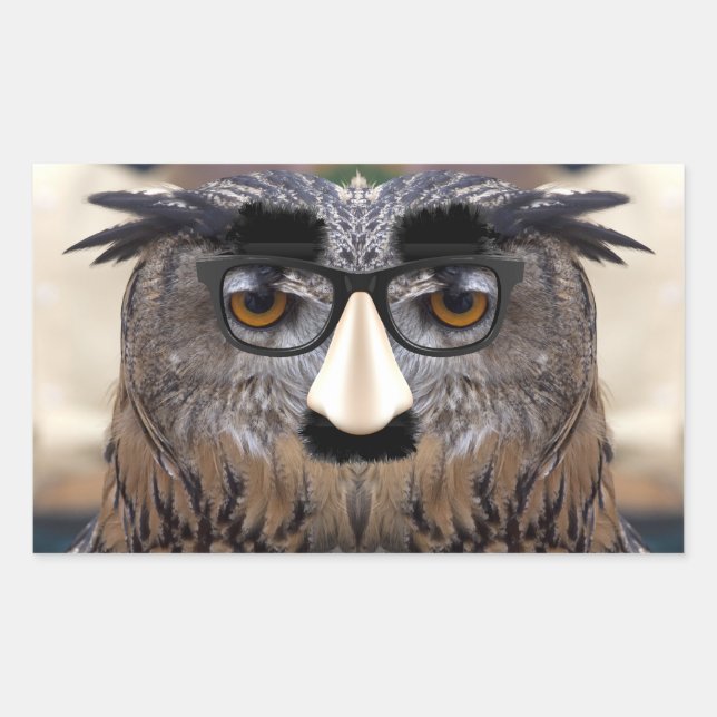 Pegatina Rectangular Groucho Marx Eagle Owl (Anverso)