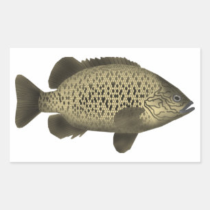 Pegatina Rectangular Grunter de carbón