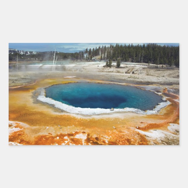 Pegatina Rectangular Grupo óptico (Anverso)